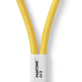 PANTONE Schlüsselanhänger 18cm 101300012 yellow 012