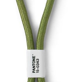 PANTONE Schlüsselanhänger 18cm 101300343 green 0343