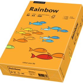 RAINBOW Papier orange/24 A4 88042431 FSC, 80g 500 Blatt