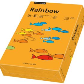 RAINBOW Papier orange/24 A3 88042437 FSC, 120g 250 Blatt