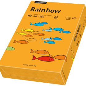 RAINBOW Papier orange/24 A4 88042439 FSC, 160g 250 Blatt
