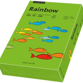 RAINBOW Papier intensivgrün/78 A4 88042678 FSC, 120g 250 Blatt