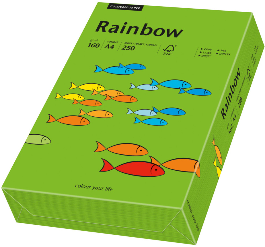 RAINBOW-88042681-7318761040160 RAINBOW Papier intensivgrün/78 A4 88042681 FSC, 160g 250 Blatt – Bild 1