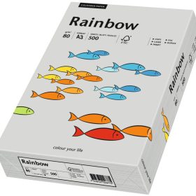 RAINBOW Papier grau/96 A3 88042808 FSC, 80g 500 Blatt