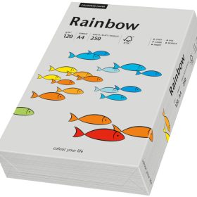 RAINBOW Papier grau/96 A4 88042810 FSC, 120g 250 Blatt