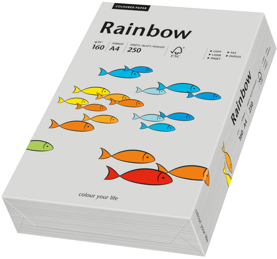 RAINBOW-88042813-7318761041600 RAINBOW Papier grau/96 A4 88042813 FSC, 160g 250 Blatt – Bild 1