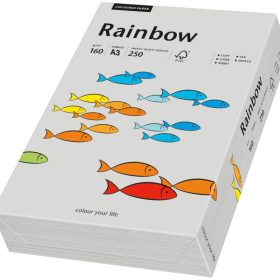 RAINBOW Papier grau/96 A3 88042814 FSC, 160g 250 Blatt